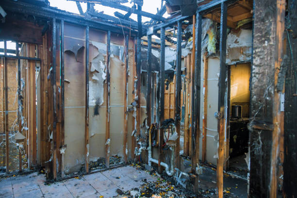 Professional Soot Cleanup technician working in Black Diamond, FL
