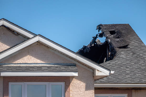 Top rated local Soot Cleanup specialists in Black Diamond, FL